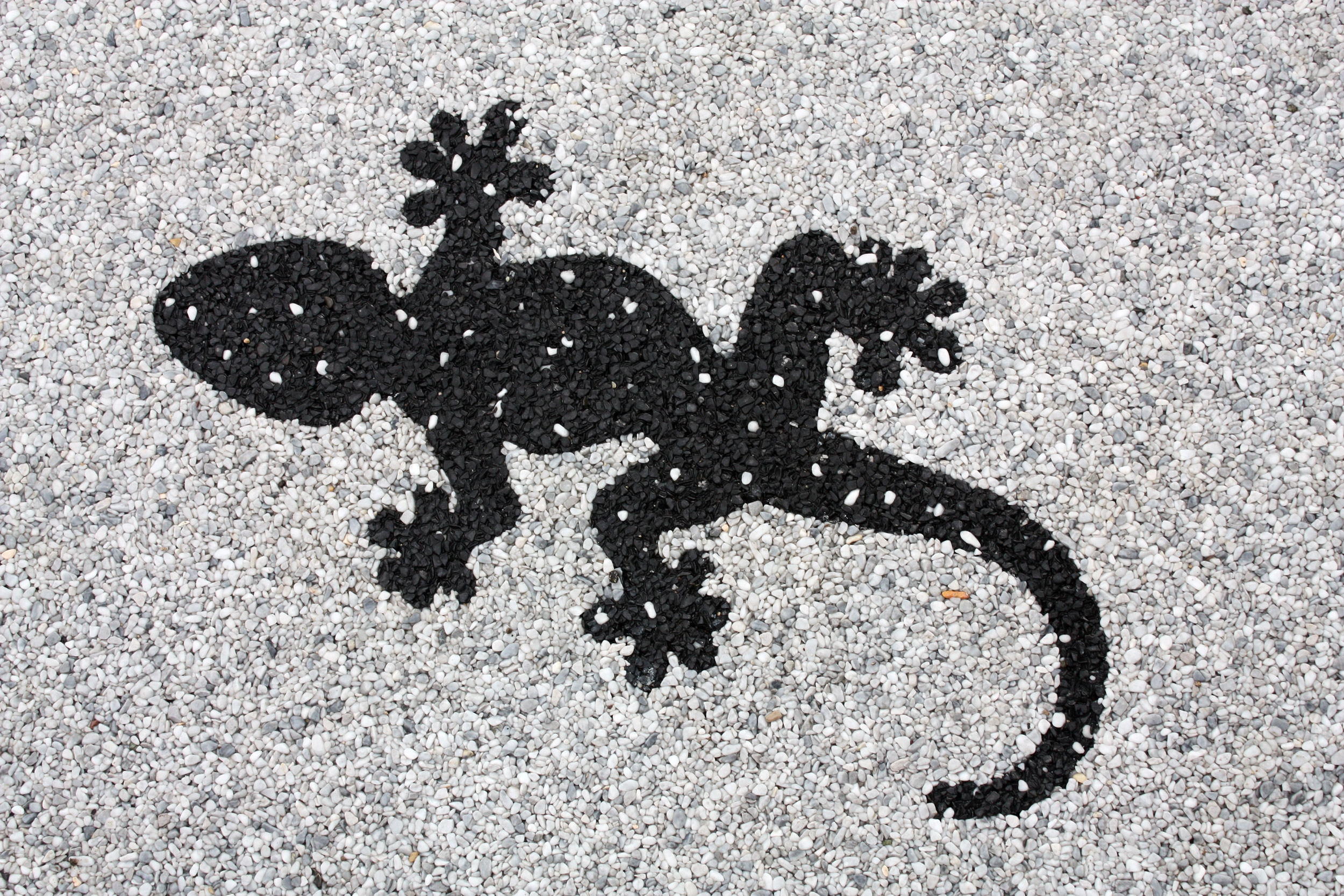 Steinteppich design und logo